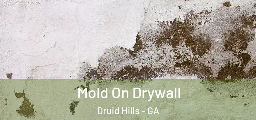  Mold On Drywall Druid Hills - GA