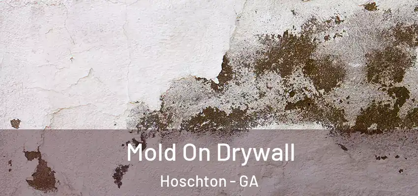  Mold On Drywall Hoschton - GA