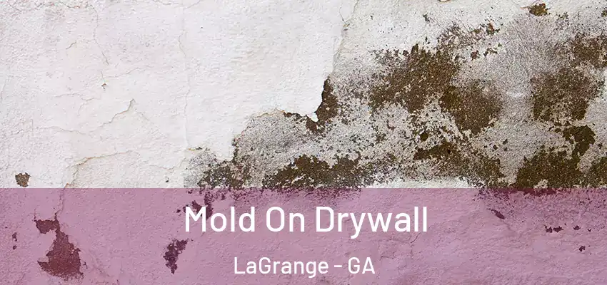  Mold On Drywall LaGrange - GA