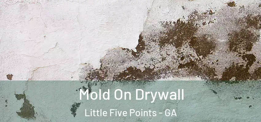 Mold On Drywall Little Five Points - GA
