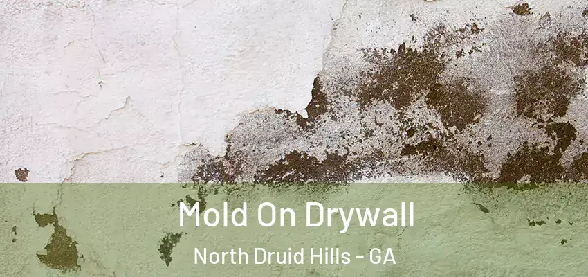  Mold On Drywall North Druid Hills - GA