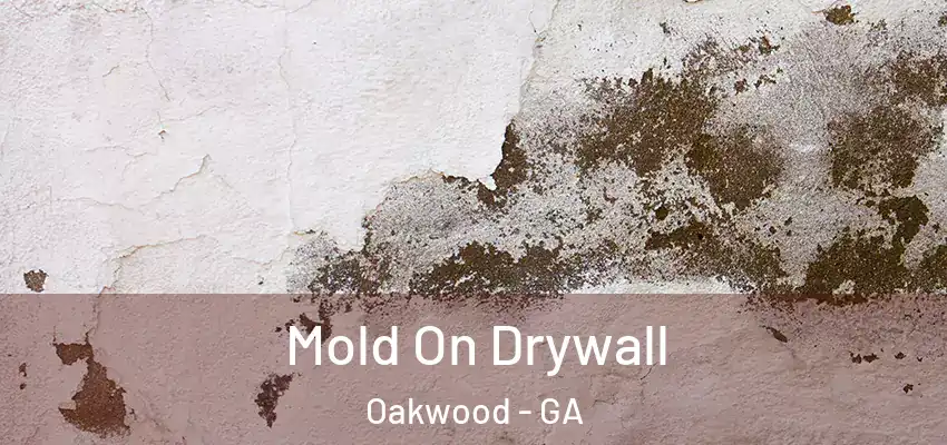  Mold On Drywall Oakwood - GA