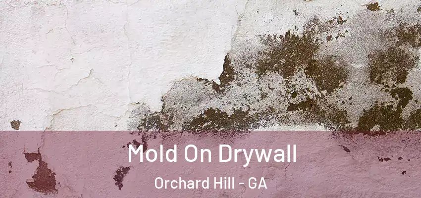  Mold On Drywall Orchard Hill - GA