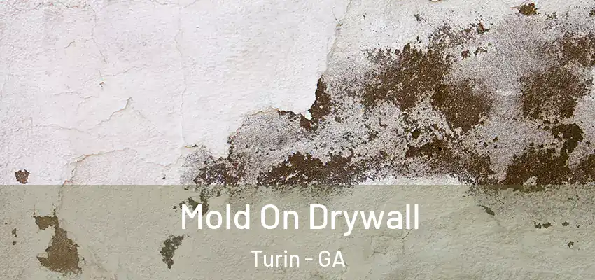  Mold On Drywall Turin - GA