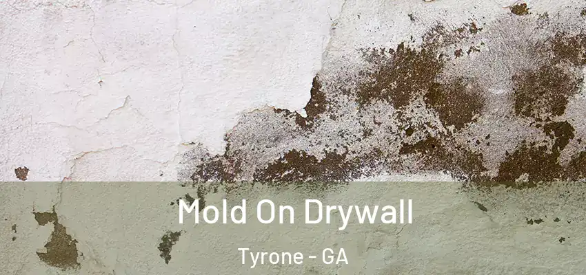 Mold On Drywall Tyrone - GA
