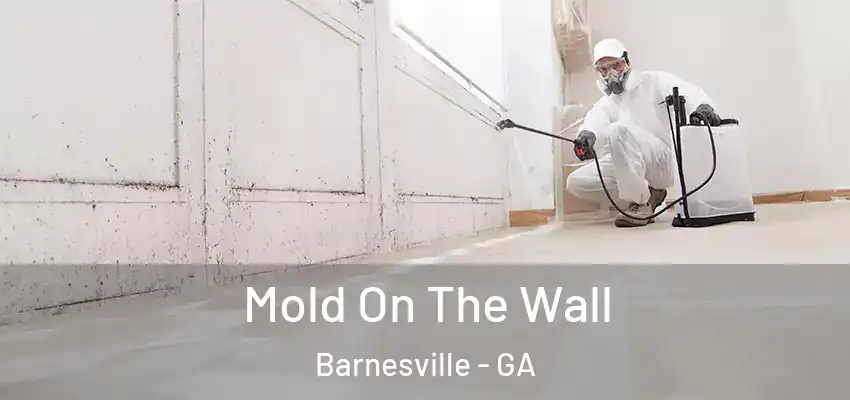  Mold On The Wall Barnesville - GA