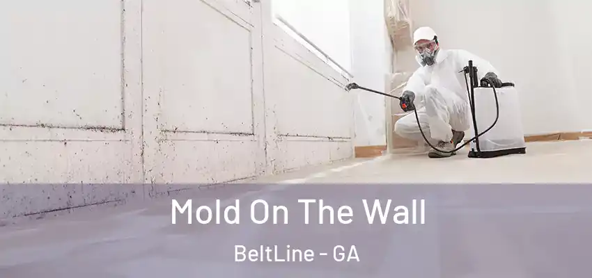 Mold On The Wall BeltLine - GA