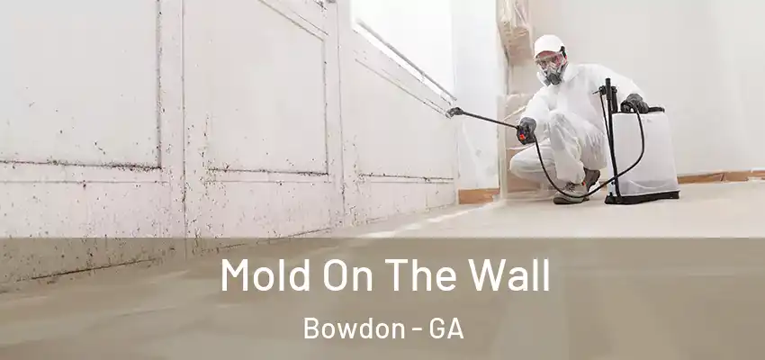 Mold On The Wall Bowdon - GA
