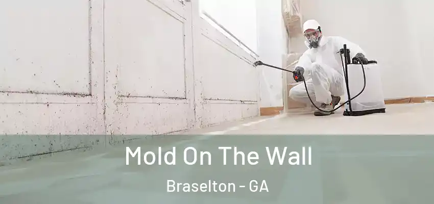  Mold On The Wall Braselton - GA