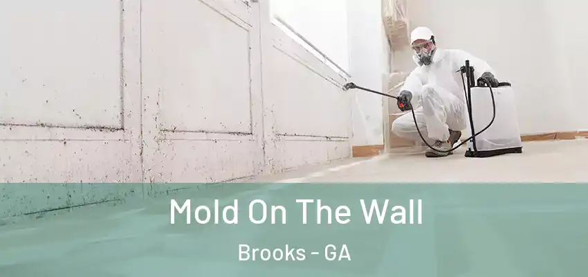  Mold On The Wall Brooks - GA