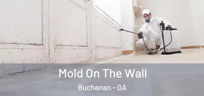  Mold On The Wall Buchanan - GA