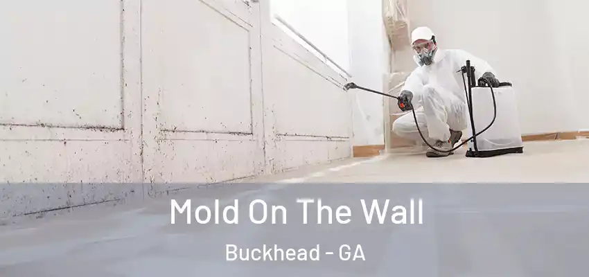 Mold On The Wall Buckhead - GA