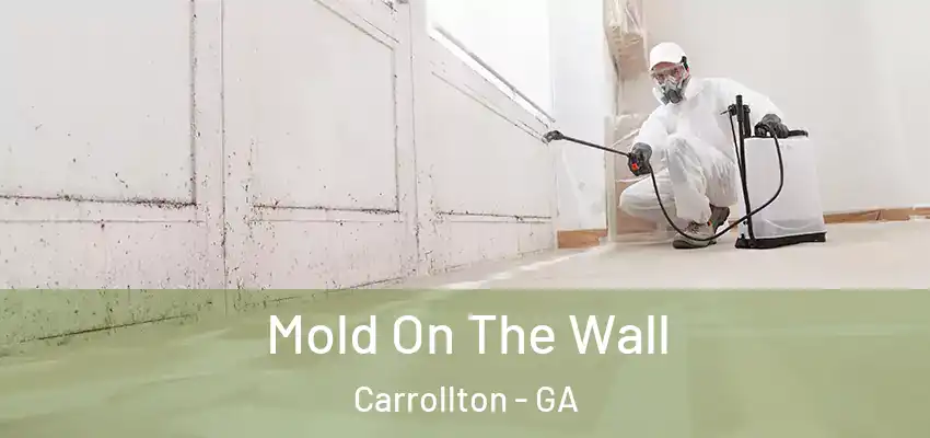 Mold On The Wall Carrollton - GA