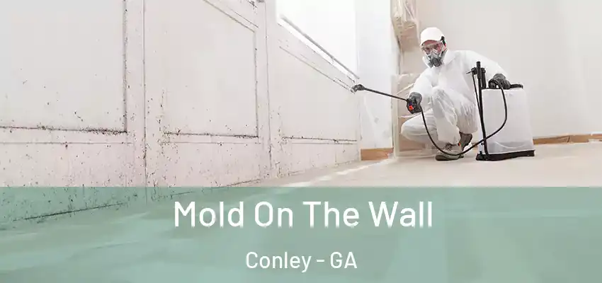 Mold On The Wall Conley - GA