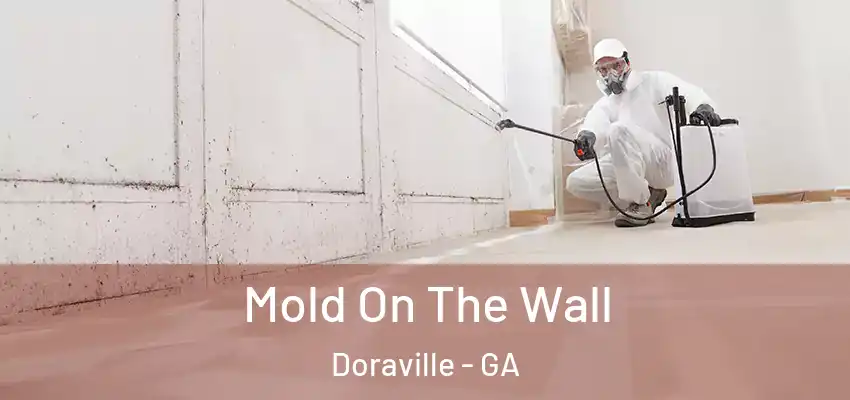  Mold On The Wall Doraville - GA