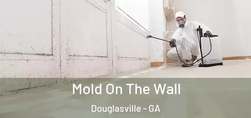  Mold On The Wall Douglasville - GA
