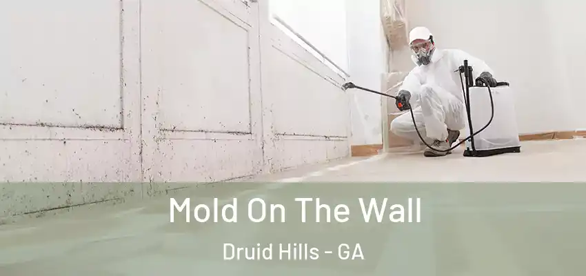 Mold On The Wall Druid Hills - GA