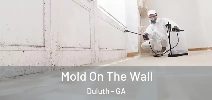  Mold On The Wall Duluth - GA