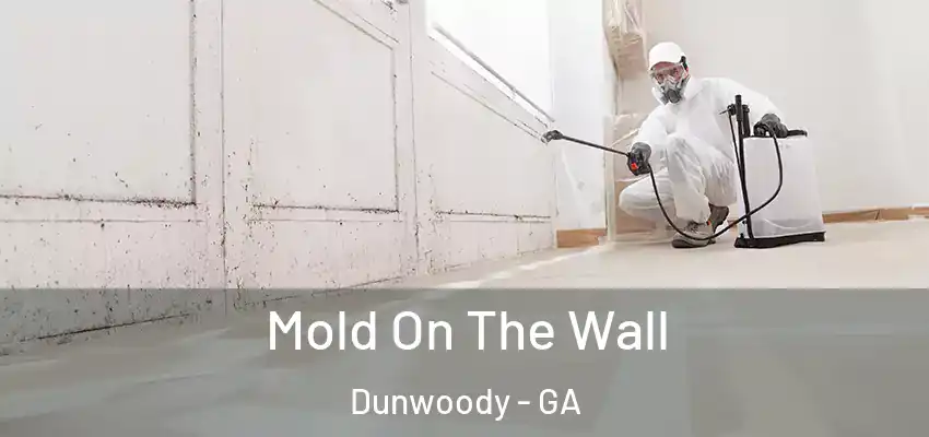  Mold On The Wall Dunwoody - GA