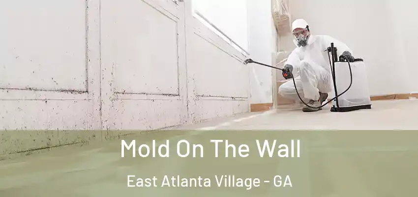 Mold On The Wall East Atlanta Village - GA