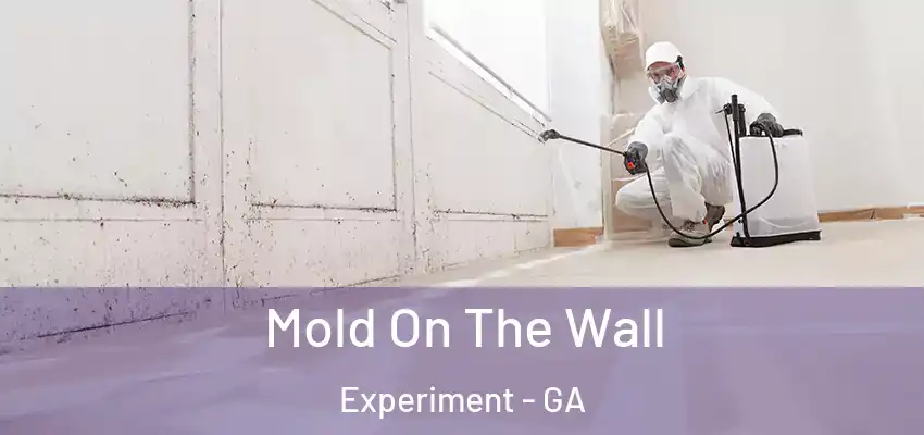 Mold On The Wall Experiment - GA