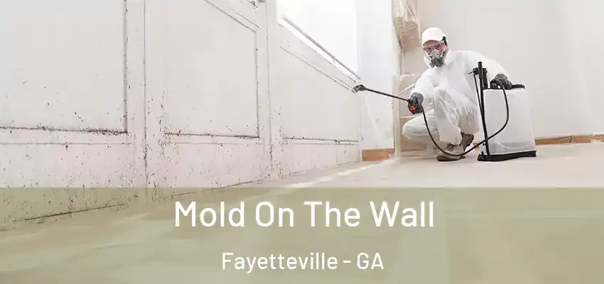 Mold On The Wall Fayetteville - GA