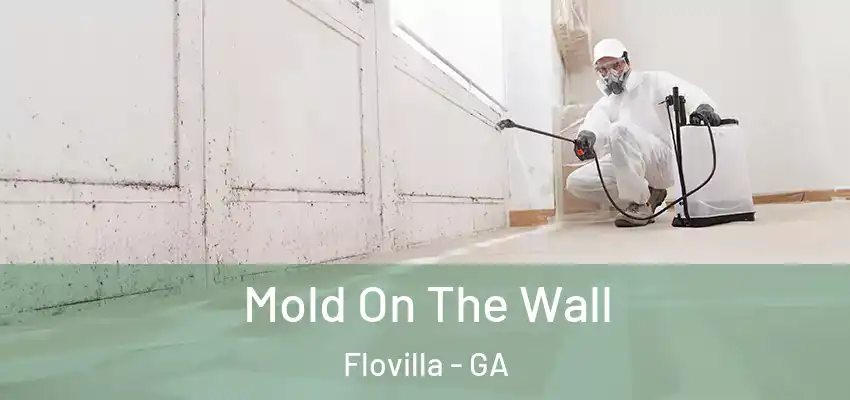  Mold On The Wall Flovilla - GA