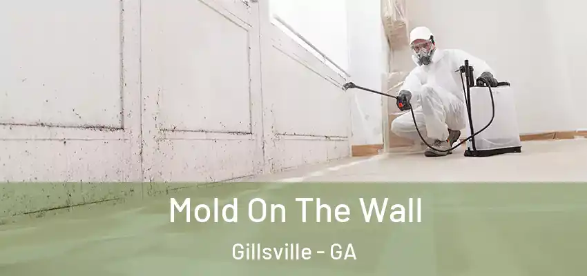 Mold On The Wall Gillsville - GA