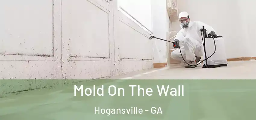  Mold On The Wall Hogansville - GA