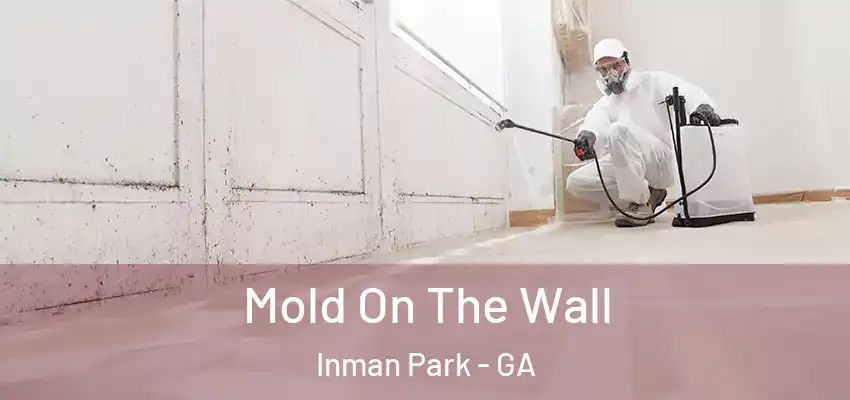  Mold On The Wall Inman Park - GA
