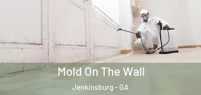  Mold On The Wall Jenkinsburg - GA
