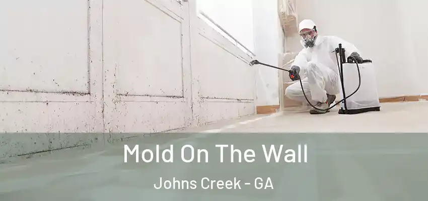  Mold On The Wall Johns Creek - GA