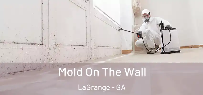  Mold On The Wall LaGrange - GA