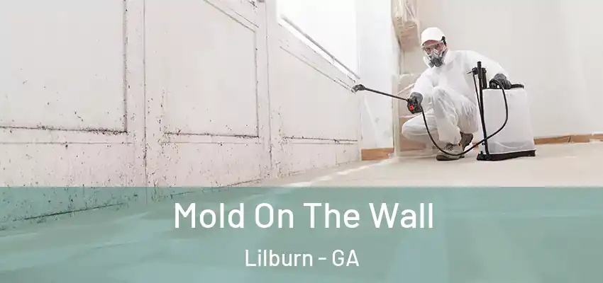  Mold On The Wall Lilburn - GA
