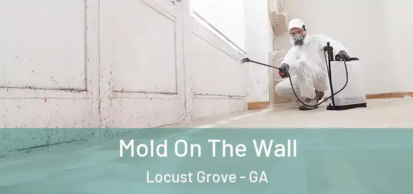  Mold On The Wall Locust Grove - GA
