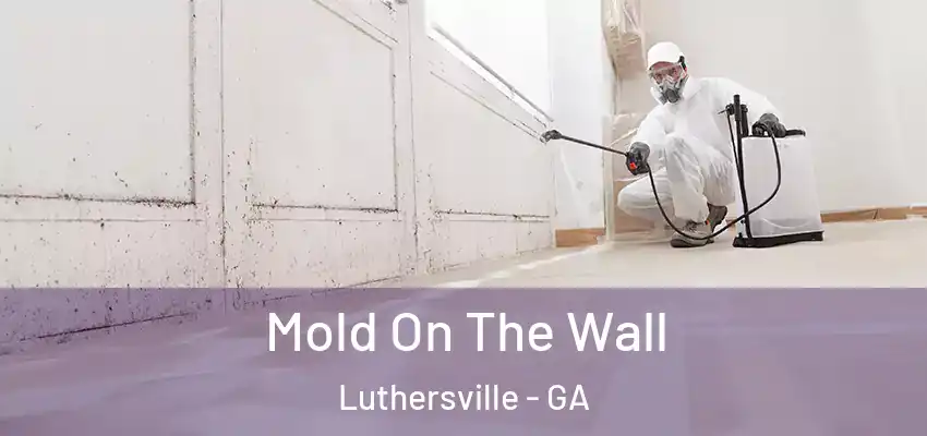  Mold On The Wall Luthersville - GA