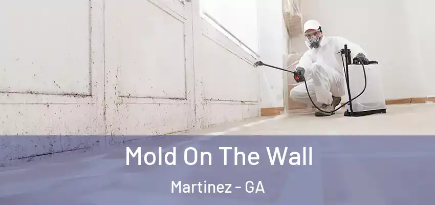 Mold On The Wall Martinez - GA