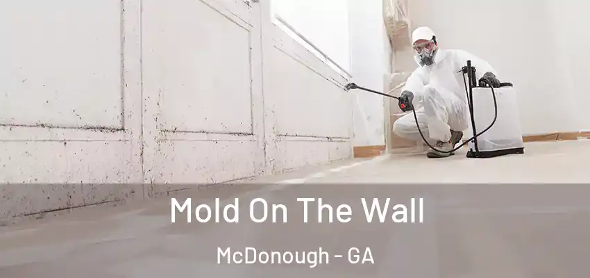  Mold On The Wall McDonough - GA