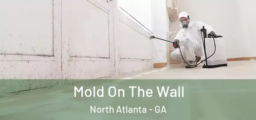  Mold On The Wall North Atlanta - GA