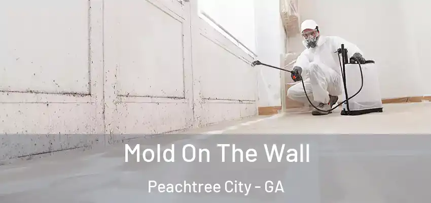  Mold On The Wall Peachtree City - GA