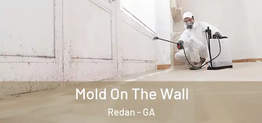  Mold On The Wall Redan - GA