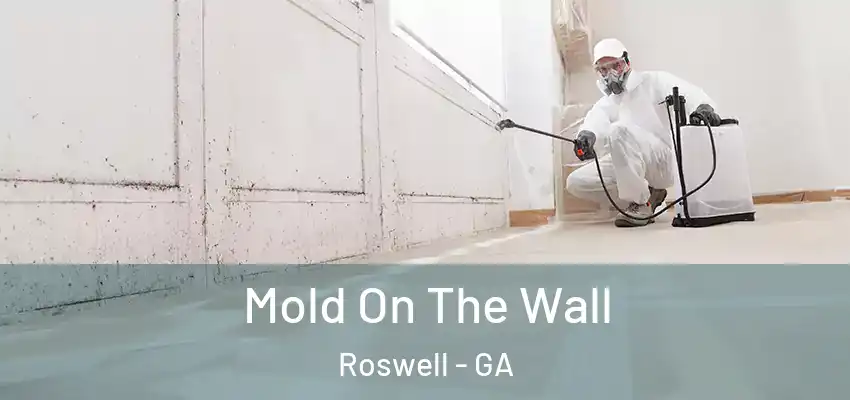  Mold On The Wall Roswell - GA