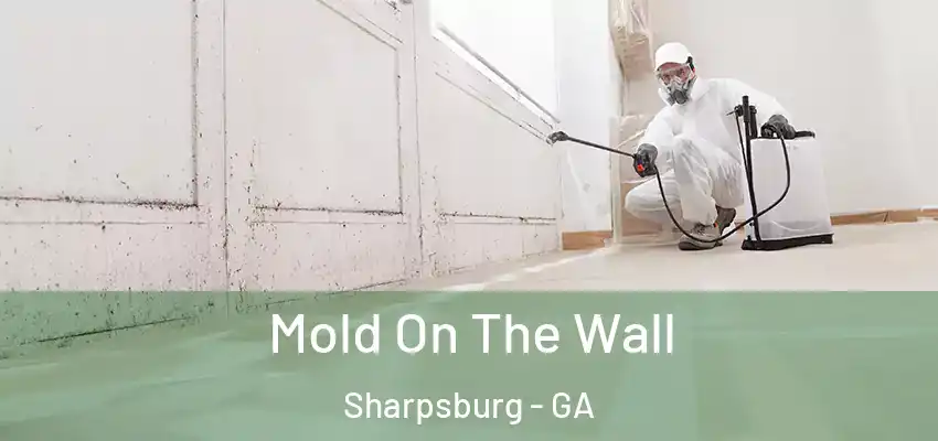 Mold On The Wall Sharpsburg - GA