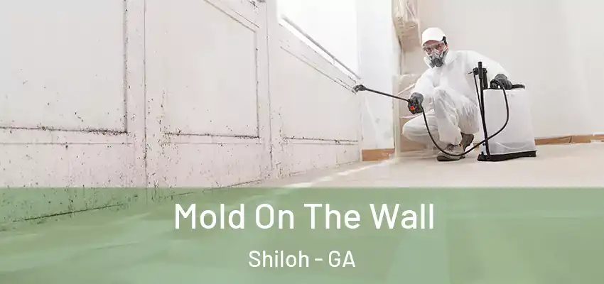  Mold On The Wall Shiloh - GA