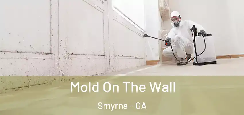 Mold On The Wall Smyrna - GA
