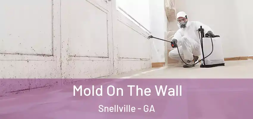  Mold On The Wall Snellville - GA