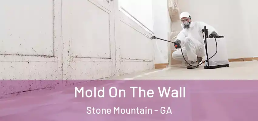 Mold On The Wall Stone Mountain - GA