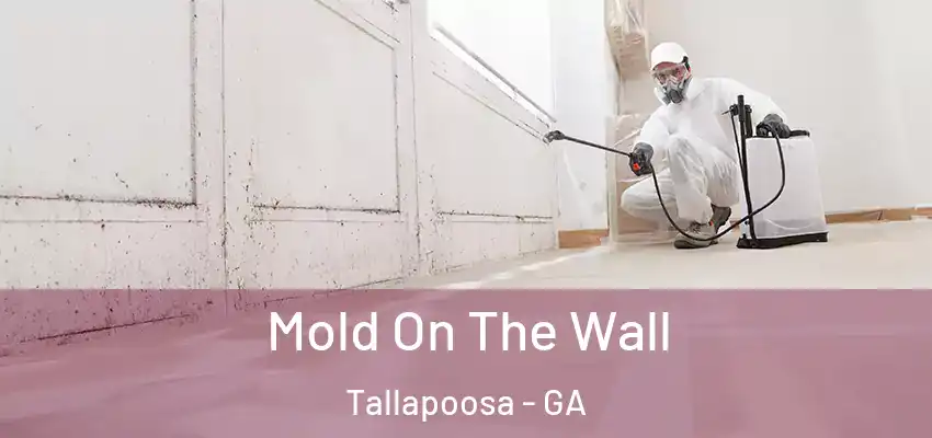  Mold On The Wall Tallapoosa - GA
