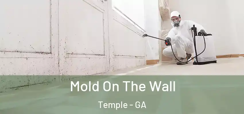 Mold On The Wall Temple - GA