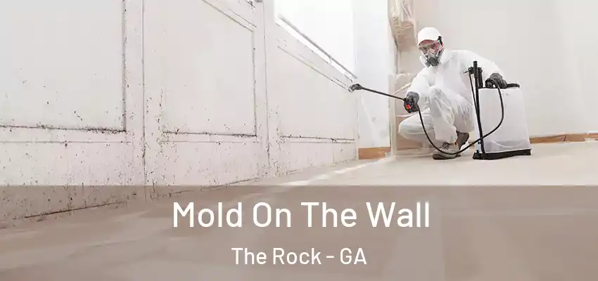 Mold On The Wall The Rock - GA